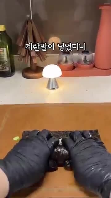 계란말이를 넣은 오이김밥: 아삭한 오이 손질과 밥 간 맞추기