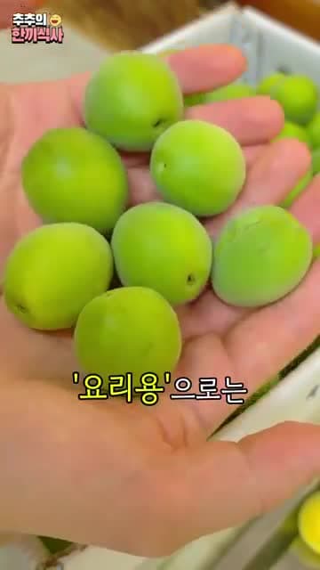 3개월 만에 진하게 나오는 매실청 레시피: 씨 제거, 설탕 비율, 숙성 관리