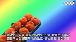 이찬원의 개인 취향과 특징