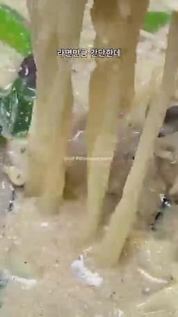 요약 및 특징 — 이 레시피의 핵심 포인트