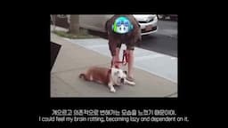 AI 코딩 도구 사용의 필요성