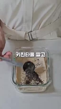 관리 팁과 주의할 점 — 물 관리 요령과 관찰 포인트