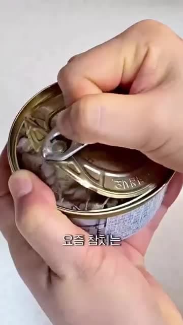 요즘 간단한 참치 먹는 법 1분 레시피