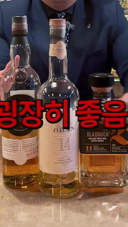 입문자에게 적합한 위스키 리스트