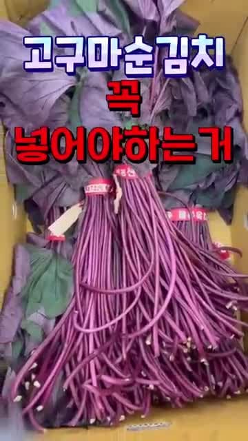 간에 악영향을 줄 수 있는 음식 3가지: 오래된 김, 떡, 견과류