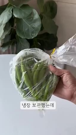 intro-청양고추의 보관 도전기