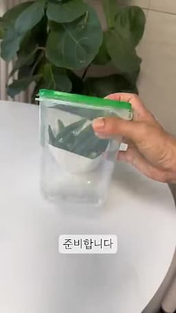 고추 수명 늘리기 위한 보관 팁