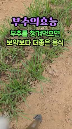 핵심 주장 요약