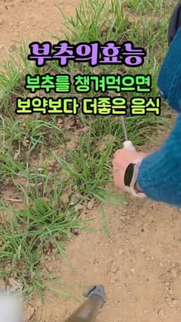 누가 챙겨야 하고 실전 적용 포인트