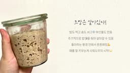 intro-르방의 기초와 사워도우의 중요성