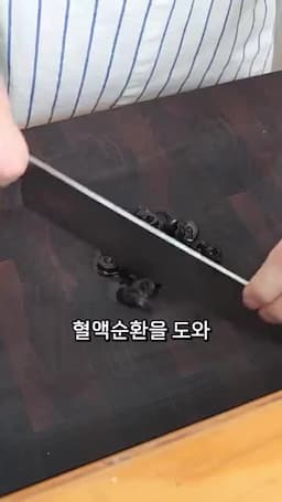 영양 흡수와 혈관 건강을 돕는 포인트