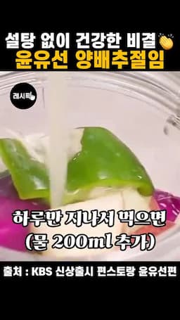 숙성 방법 및 먹기 좋은 시점(하루 후 권장)