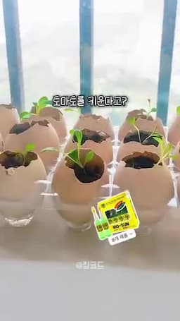 준비물과 전체 과정 한눈에 보기