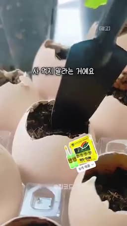 달걀껍데기 화분 제작(바닥에 작은 구멍 뚫기)