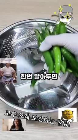 청양 고추 보관의 중요성