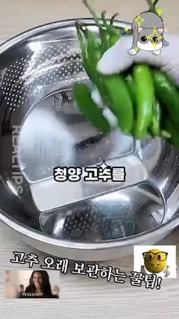 청양 고추 냉장 보관 방법