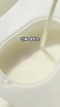투명 토끼 푸딩의 핵심 포인트