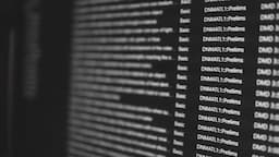 동기 부여와 규율의 중요성