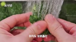 intro-브로콜리에 대한 오해와 건강 이점