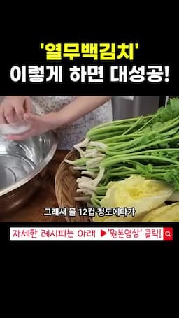 열무와 알배추 절이기