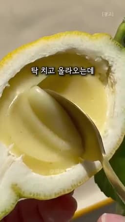 청담 카페 스타일 레몬 디저트가 인기인 이유