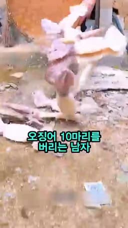 오징어 10마리와 기본 준비