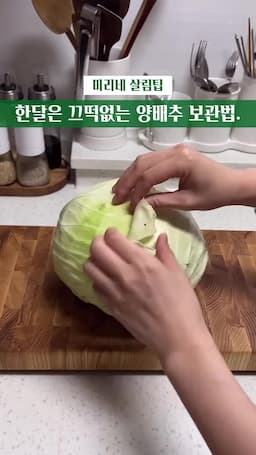 intro-양배추 보관의 중요성
