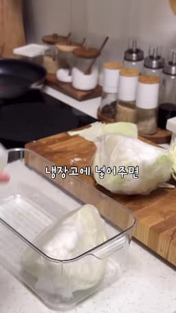 오래도록 신선한 양배추 즐기기