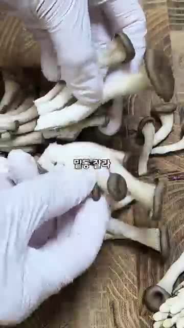 찬밥으로 만드는 버섯솥밥 레시피: 표고·느타리버섯에 부추와 버터까지
