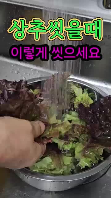 상추 씻는 방법: 기생충·농약 섭취 위험 경고와 정답 확인