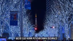 도쿄 유래 먹거리 소개