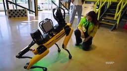 AI와 로봇이 가져올 변화