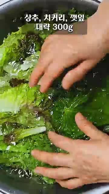 상추 겉절이 레시피: 치커리·깻잎·레몬즙으로 더 맛있게 무치는 법
