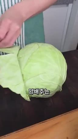 손질법 양배추와 당근 준비하기