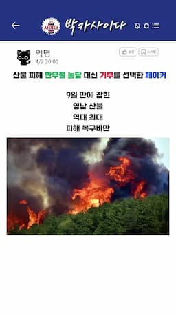intro-산불 피해 상황과 기부의 중요성