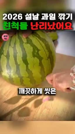 수박을 이용한 아이디어와 팁