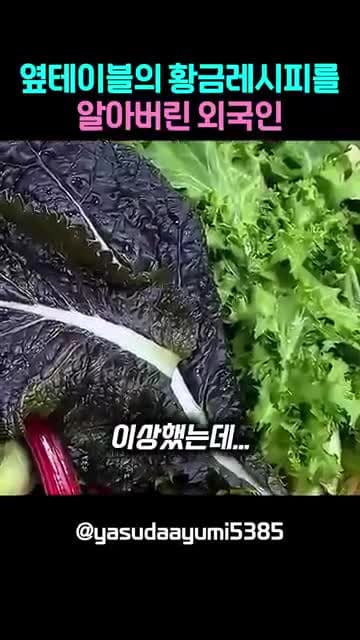 옆 테이블을 보고 배운 김치찌개와 쌈 먹는 법, 일본인 아유미의 반응