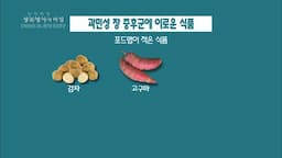 이로운 음식 소개