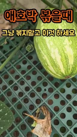 바로 볶지 말아야 하는 이유
