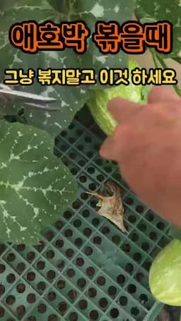 물기 줄이는 조리 포인트