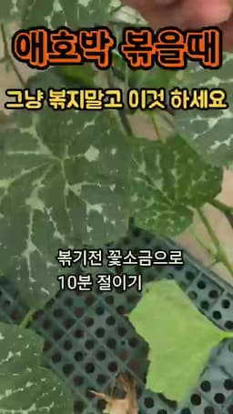 식감 살리는 마무리 기준