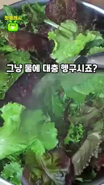상추 세척법: 식초물·짧은 담금·한 잎씩 씻어 이물질 제거하고 식감 지키기