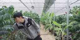 커피 체리의 구조와 특징