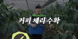 피킹과 플로팅 과정