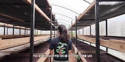 발효의 원리와 다양한 방식