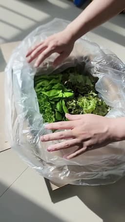 유럽피안 채소 구매 팁