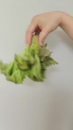 김치통을 활용한 보관법