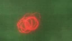 최종 목표-노스부스트의 완벽한 마스터