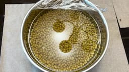 콩 준비하기와 불리기