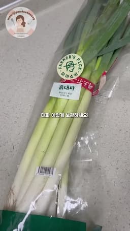 intro-대파의 중요성과 보관법
